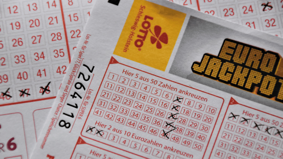 Saturday lotto deals draw 3959 results