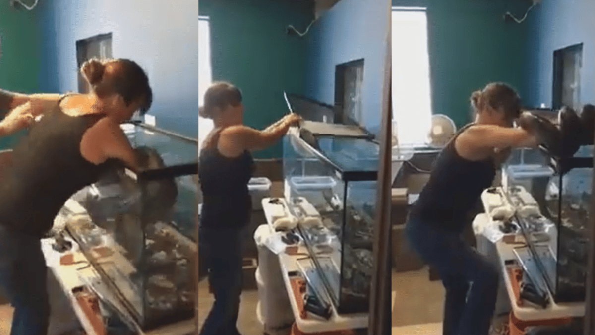 massive-snake-coils-around-woman-hand-horrifying-viral-video-petrifies-internet-watch