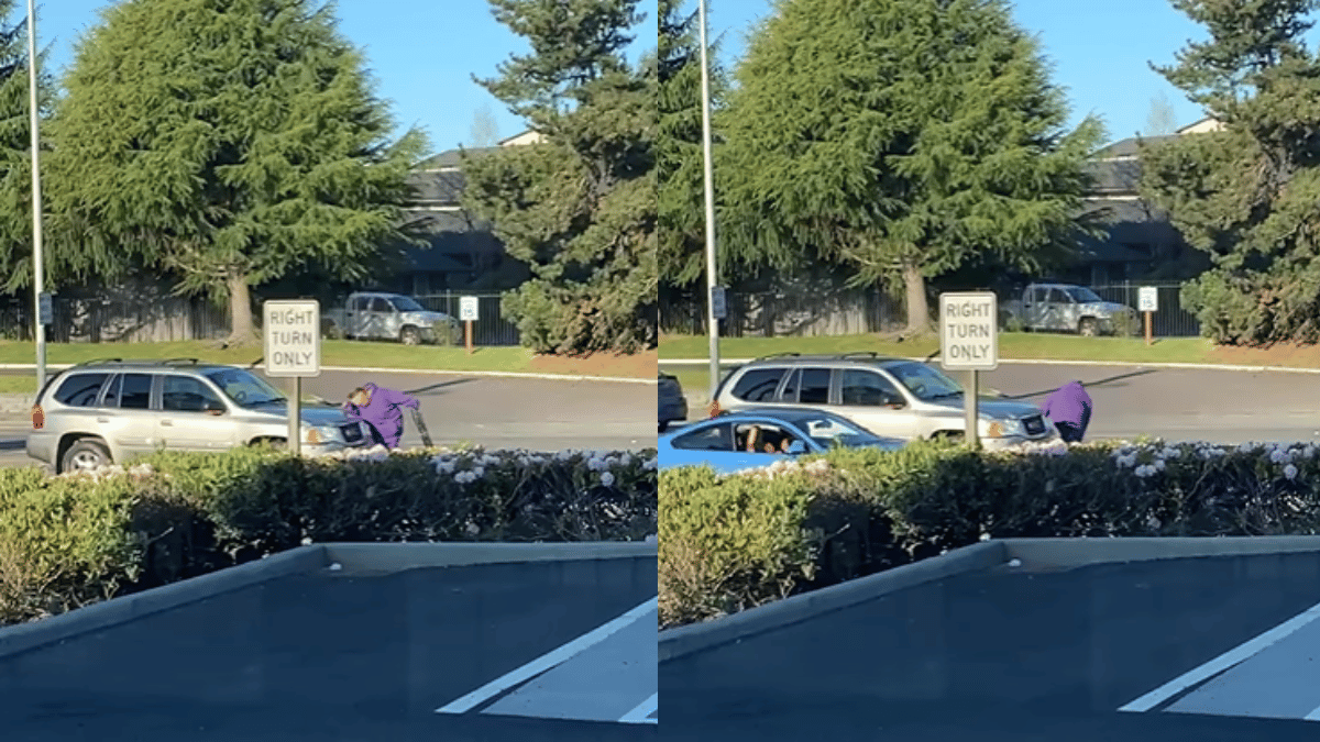 viral-video-woman-stages-fake-hit-and-run-result-is-not-what-shes-expecting-watch