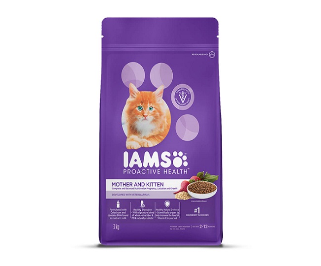 Best Cat Food Under 5000 Feline Feast Without Breaking The Bank