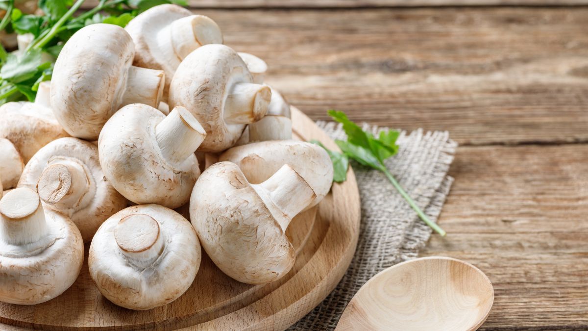 do-you-know-these-5-benefits-of-adding-mushroom-into-your-diet