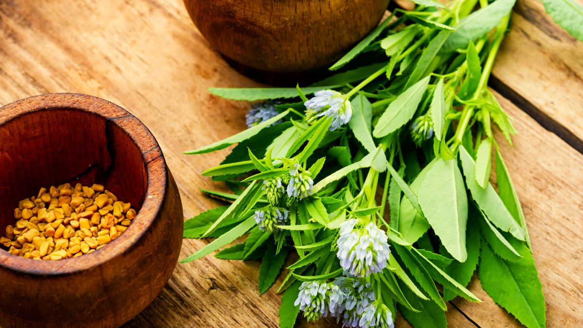 7 Advantages Of Drinking Fenugreek Water Specially For Women