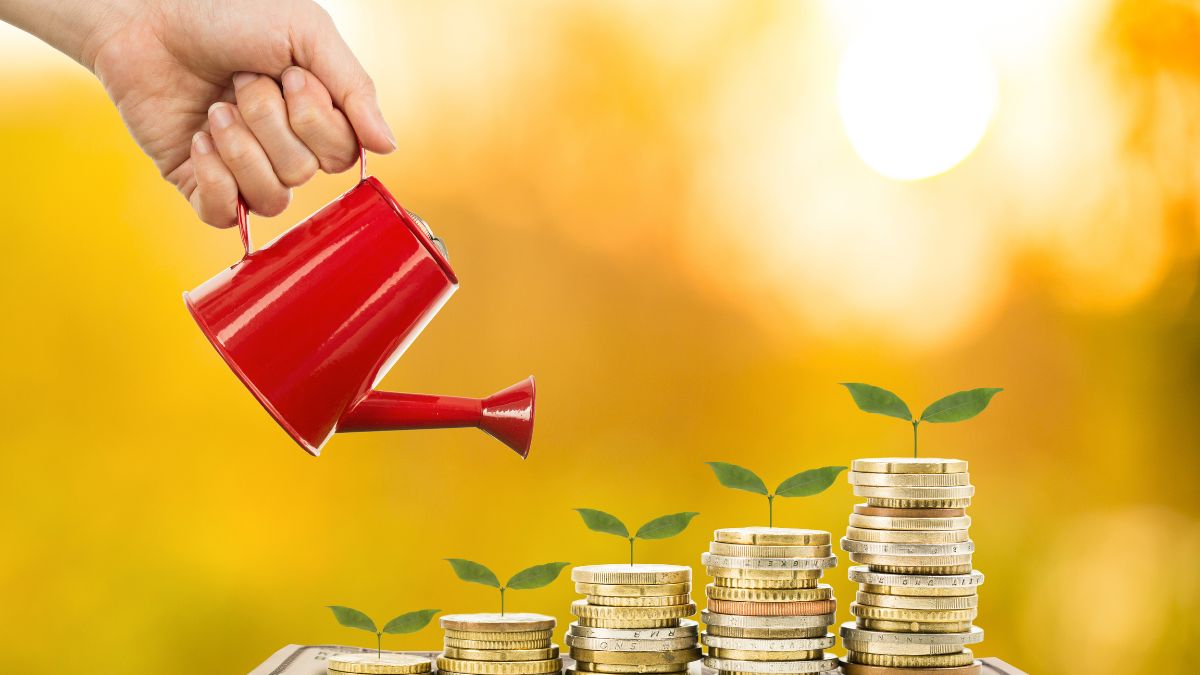 top-5-advantages-of-keeping-money-plant-at-home