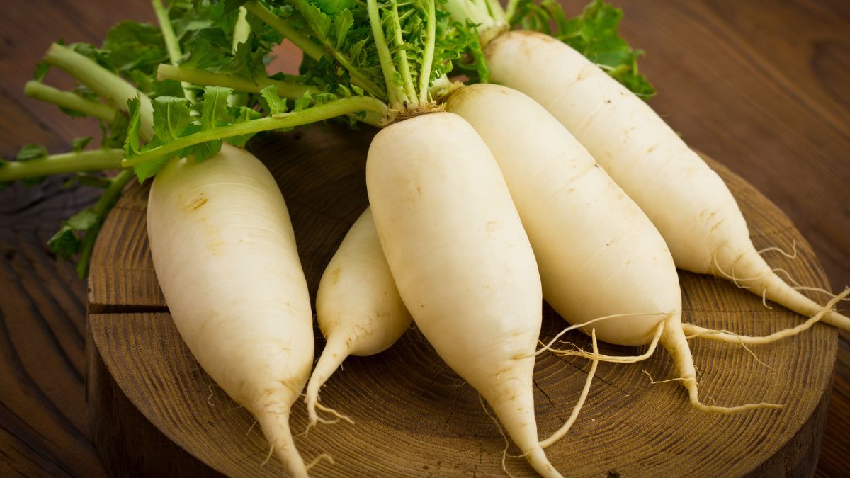 top-5-overall-health-benefits-of-eating-radish