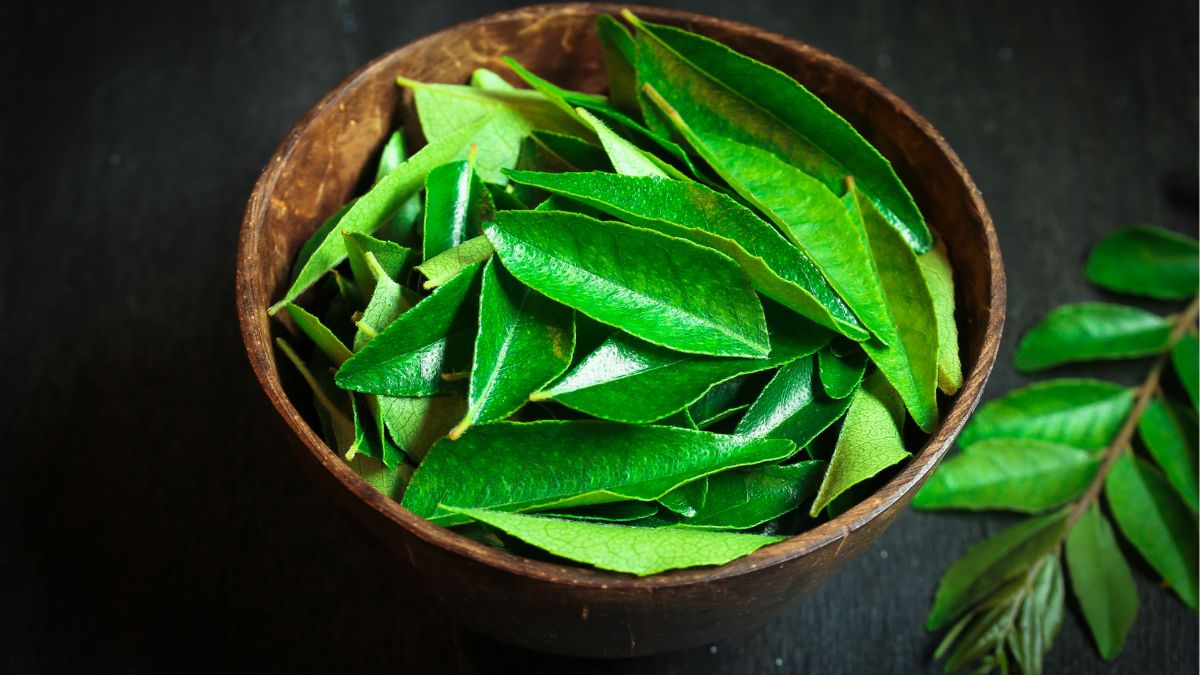 5-ways-kadi-patta-can-be-beneficial-for-quick-belly-fat-loss-curry-leaves
