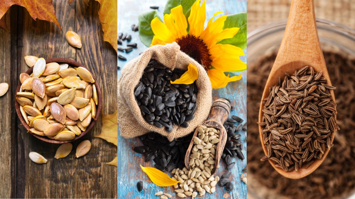 5-magical-seeds-to-help-in-controlling-the-blood-sugar-level-naturally