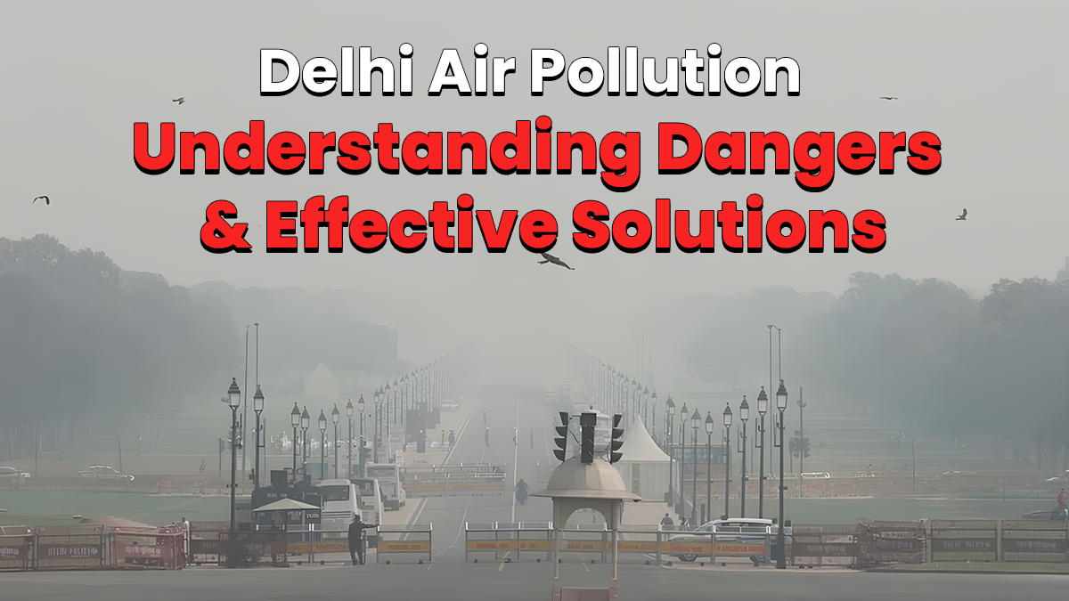 Tackling Delhis Air Pollution Crisis Analysing The Causes And Effective Solutions 3267