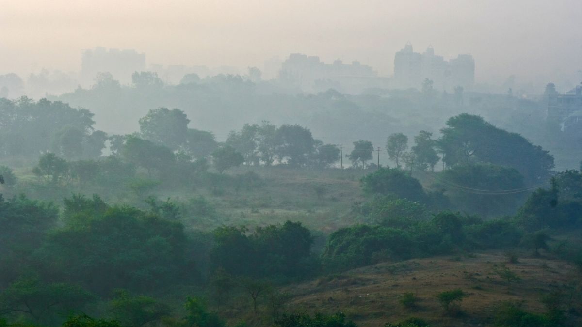bihar-weather-update-patna-records-min-temperature-of-194-degrees-celsius-mercury-likely-to-dip-more-in-coming-days