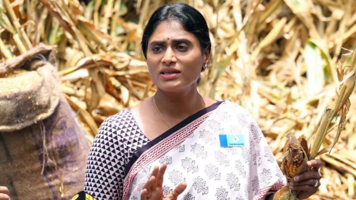 YS Sharmila's YSRTP Not To Contest Telangana Polls, Extends Support To ...