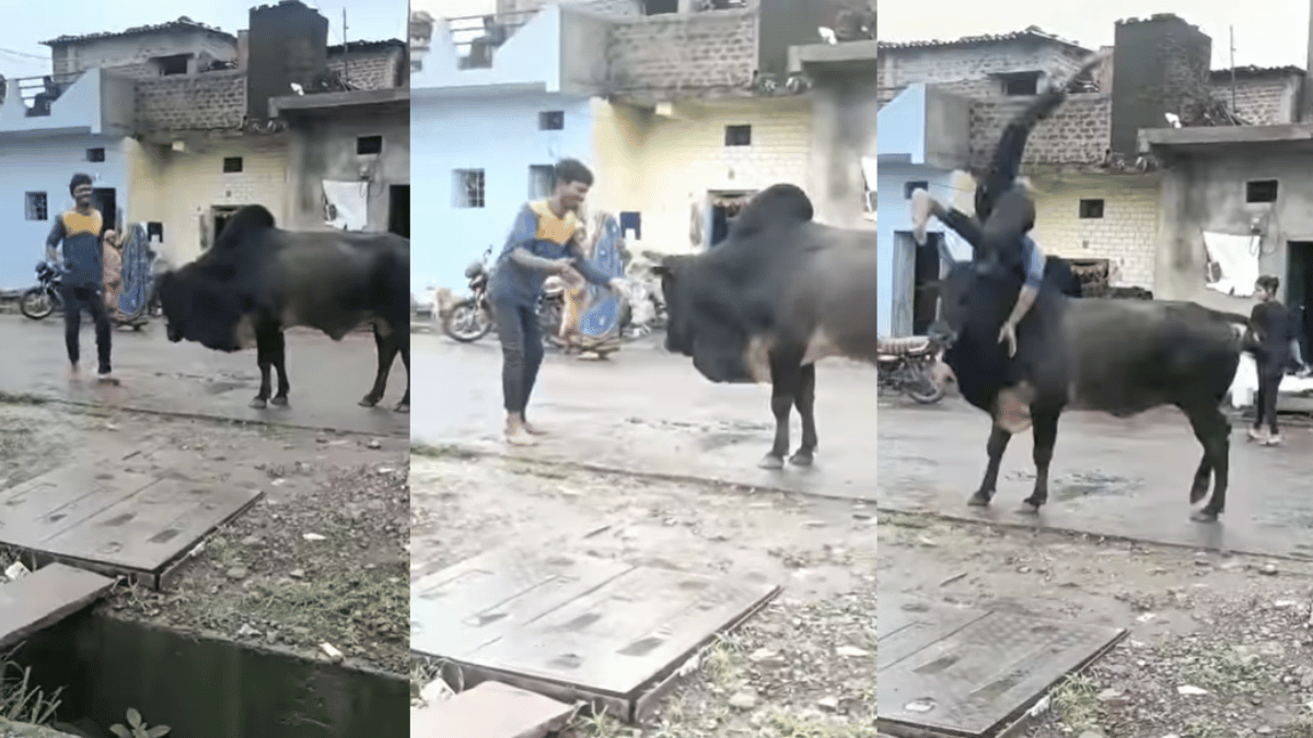 drunk-man-tries-to-takedown-massive-bull-what-happened-next-left-netizens-satisfied-watch-viral-video