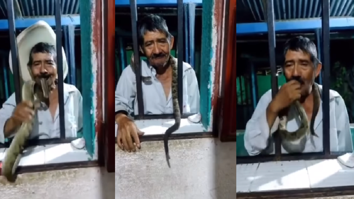 viral-video-man-puts-poisonous-snake-in-mouth-plays-with-it-netizens-say-man-is-pure-tequila-watch
