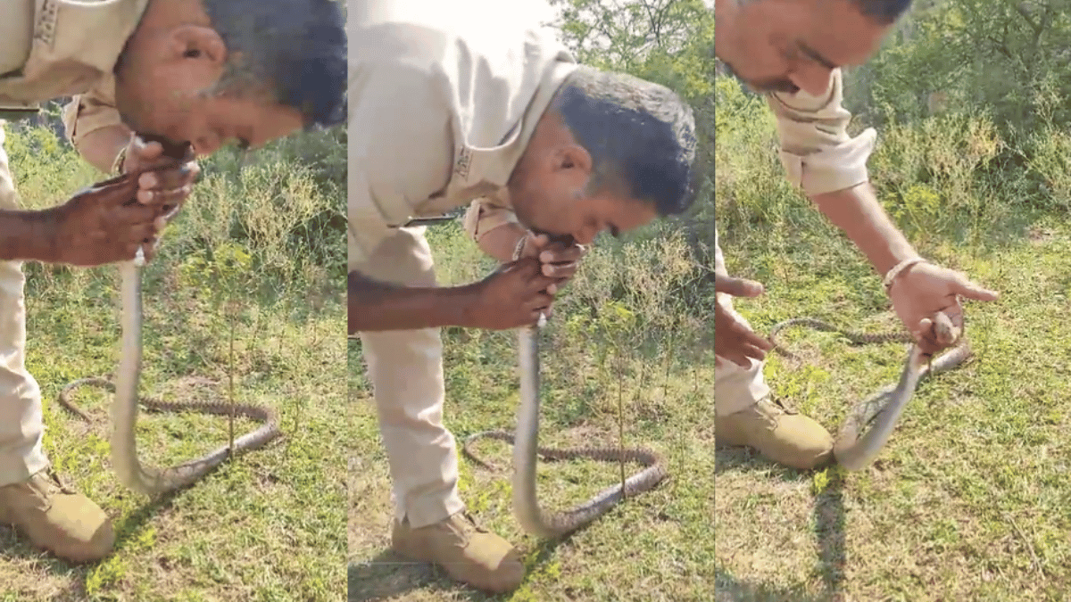viral-video-police-officer-cpr-to-unconscious-snake-earns-him-animal-lover-pro-max-title-watch