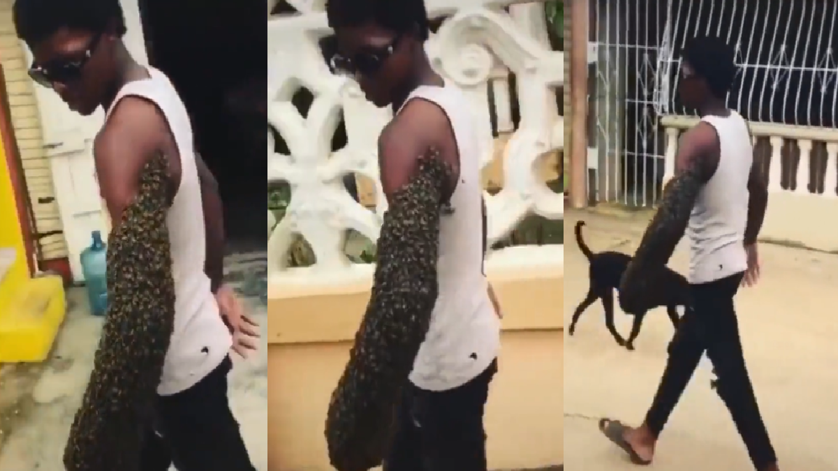 viral-video-man-transfers-massive-bee-colony-with-bare-hands-netizens-say-marvel-needs-to-cast-this-bee-man-watch