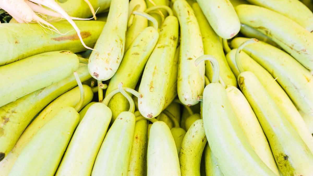 5 Health Benefits Of Drinking Lauki Juice On Empty Stomach