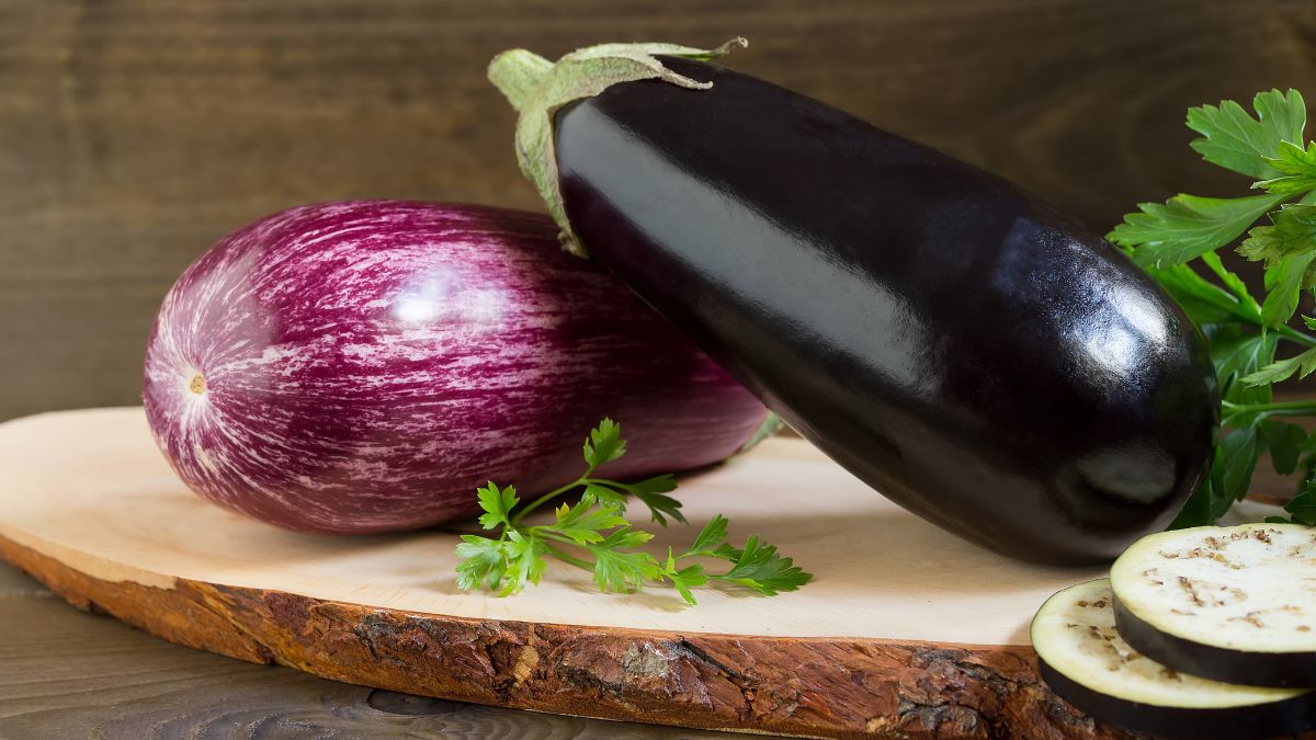 top-5-reasons-why-you-must-add-eggplants-to-your-diet-plan