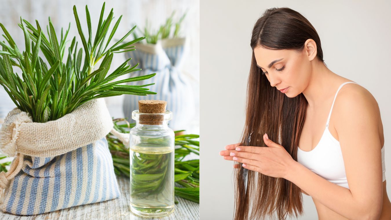 5 Benefits Of Switching Your Regular Oil With Rosemary Oil For Smooth