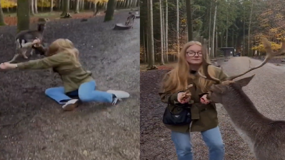 disney-moment-gone-wrong-woman-adorable-interaction-with-deer-take-u-turn-netizens-say-rejected-sleeping-beauty-watch-viral-video