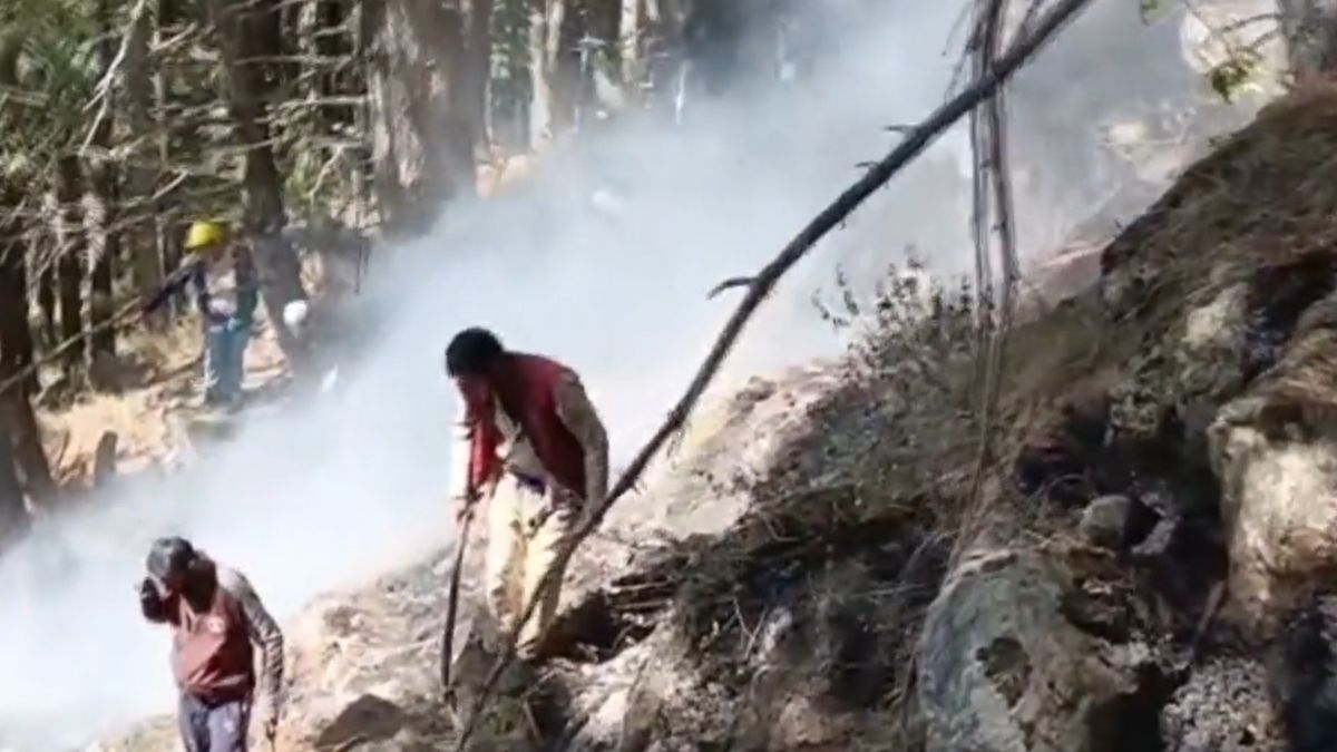 Fire Breaks Out In DH Pora Forest Range In J-K’s Kulgam District | Watch