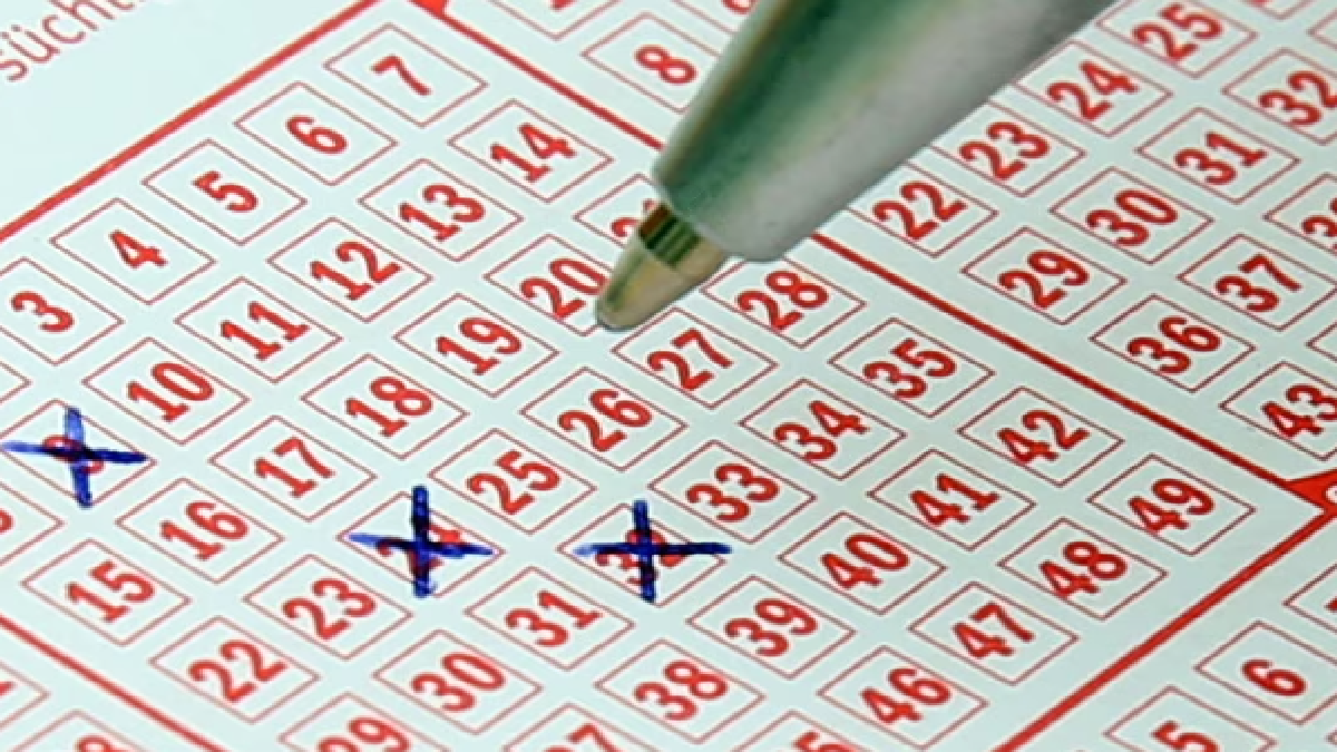 kvs-prt-result-2023-declared-at-kvsangathannicin-check-download-link-primary-teacher