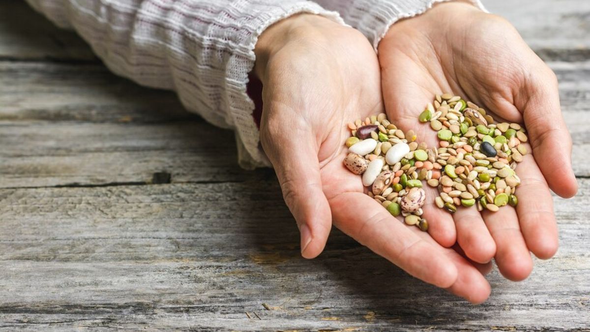 5-wonder-seeds-to-balance-your-hormones-and-stay-healthy-chia-seeds-flax-seeds-and-others