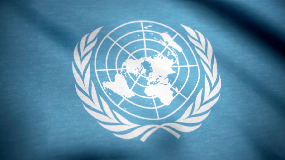 united nations declared 2023 as the international year of