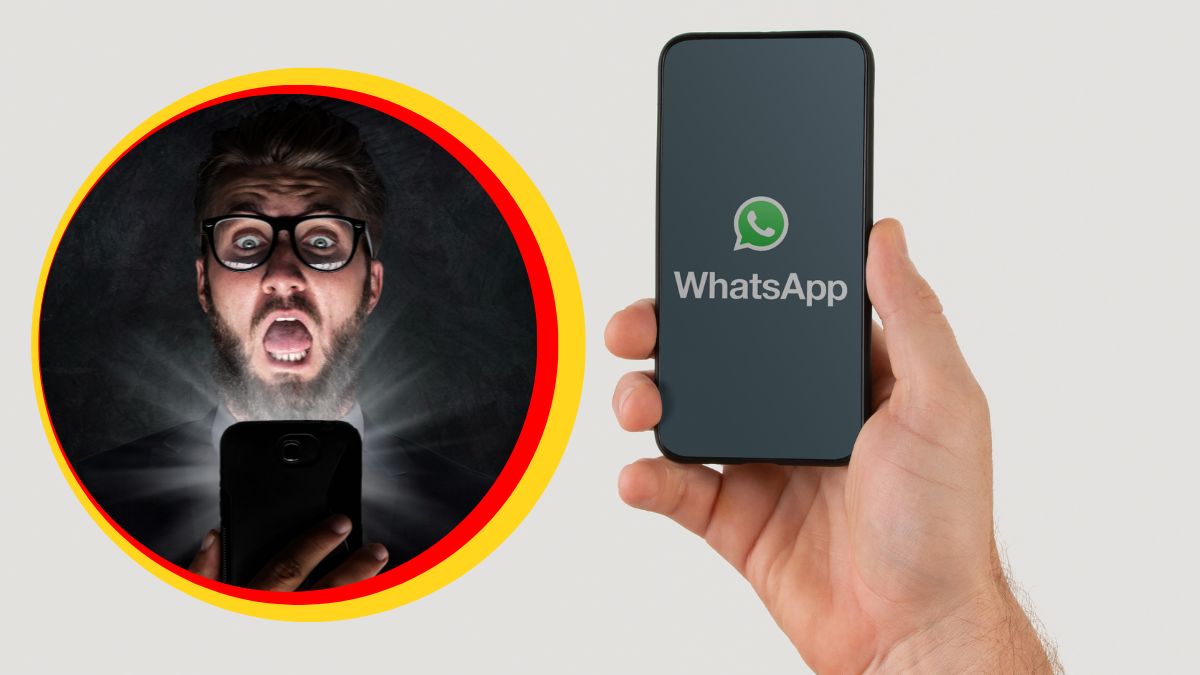 whatsapp phone