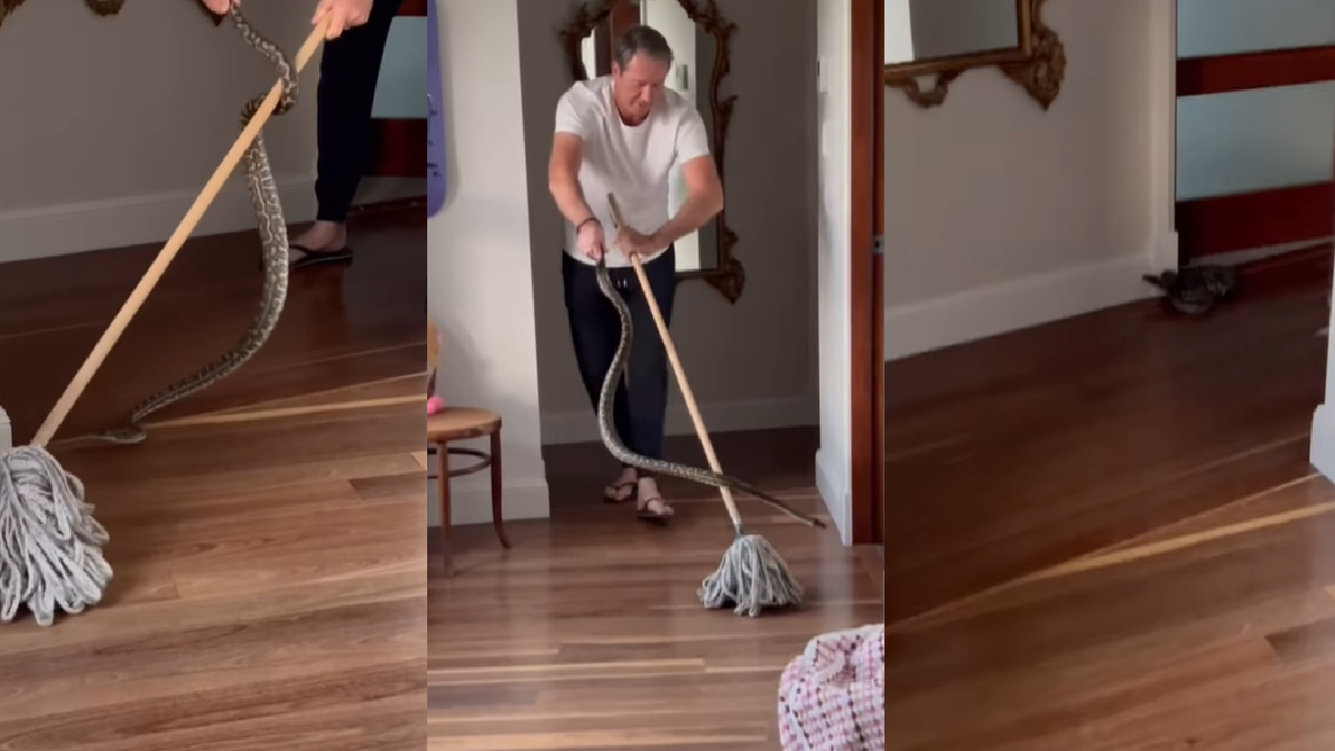 former-australian-cricketer-glenn-mcgrath-catches-3-carpet-pythons-from-his-home-earns-snake-catcher-title-viral-video