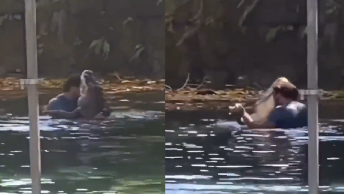 man-romantic-dance-with-crocodile-leaves-netizens-divided-people-dub-it-disney-movie-plot-viral-video