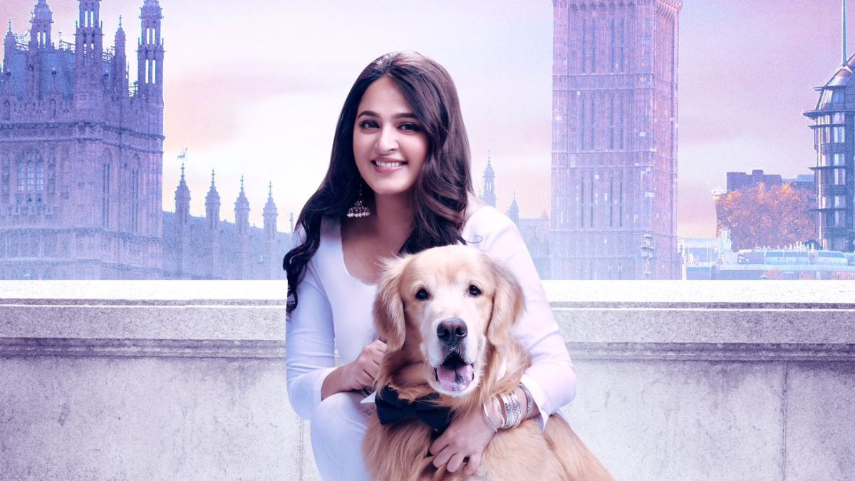 Miss Shetty Mr Polishetty Box Office Collection: Anushka Shetty-starrer 