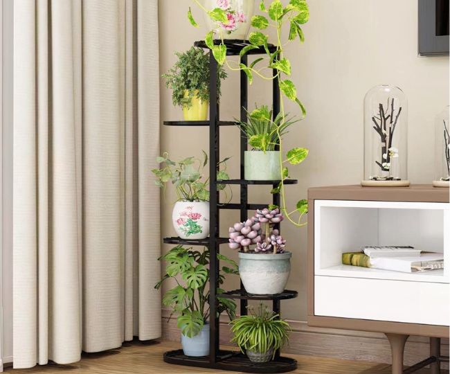Best Plant Stands To Decorate Your Greens And Home