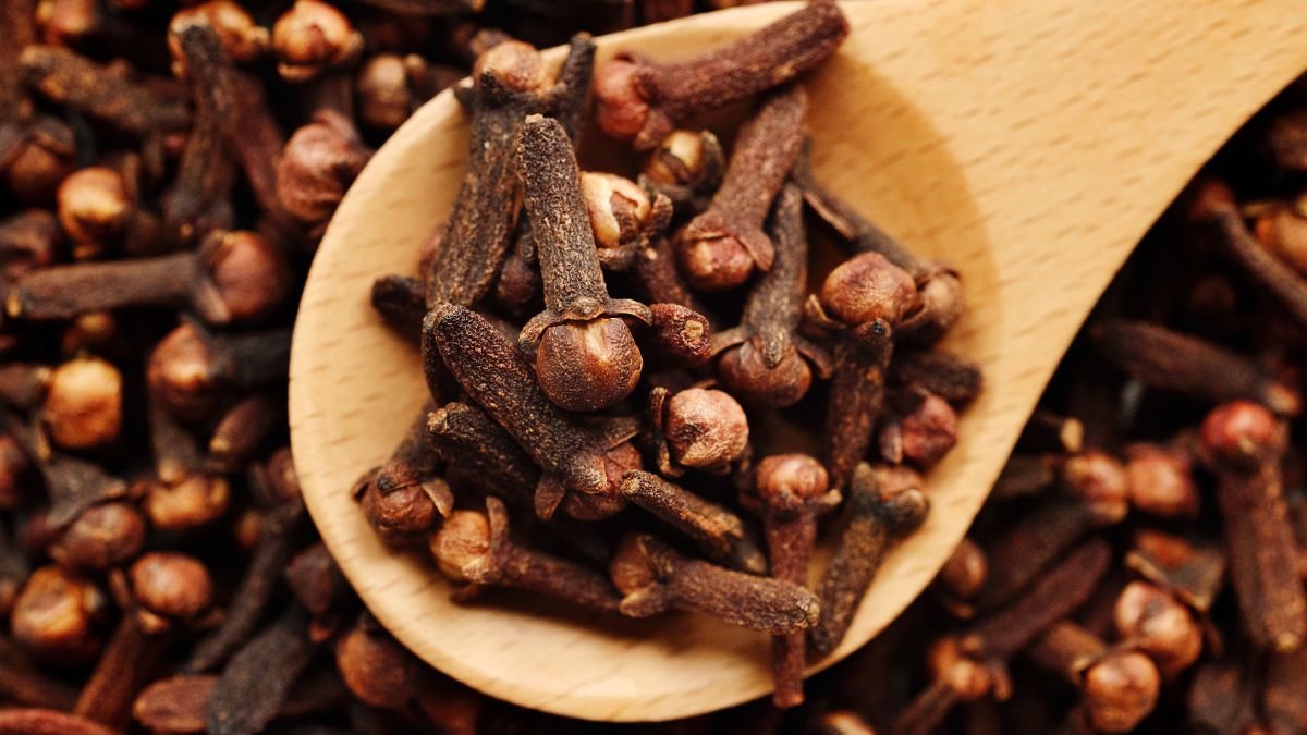 top-5-health-benefits-of-adding-clove-into-your-diet-plan-daily