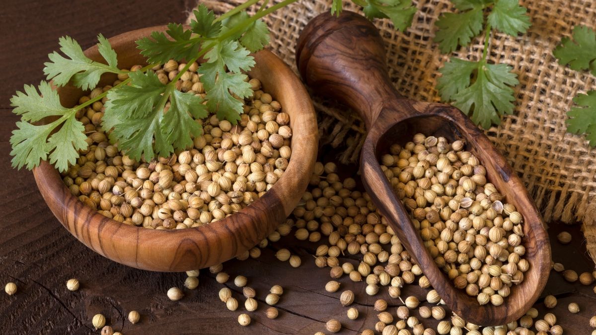 5 Benefits Of Drinking Coriander Seeds Water In The Morning