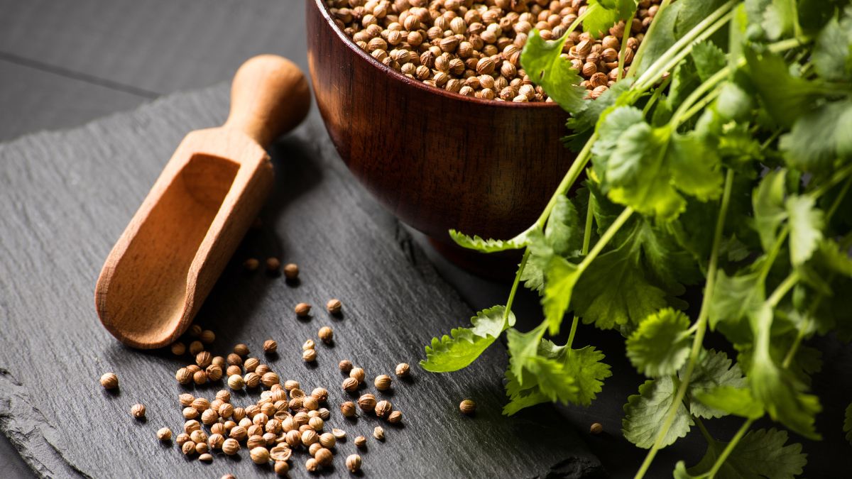 5 Benefits Of Drinking Coriander Seeds Water In The Morning