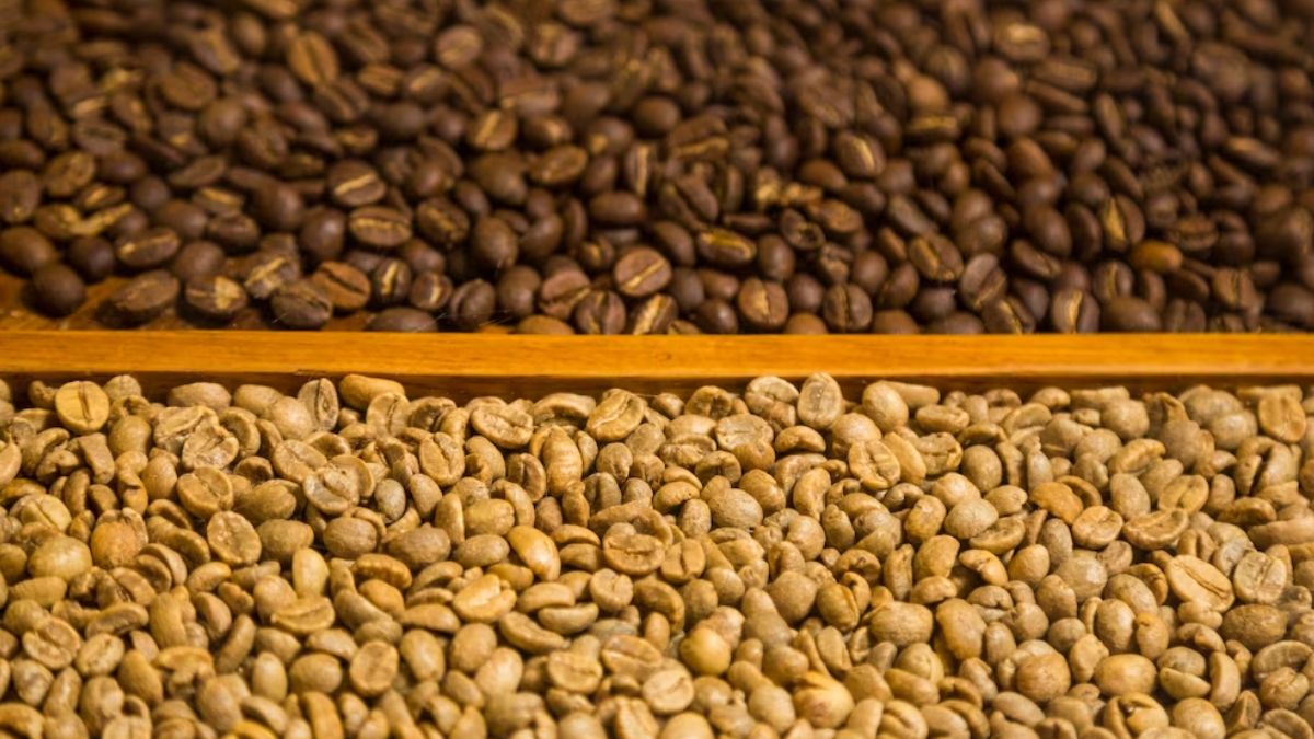 National Coffee Day 2023 Top 5 Health Benefits Of Green Coffee Beans