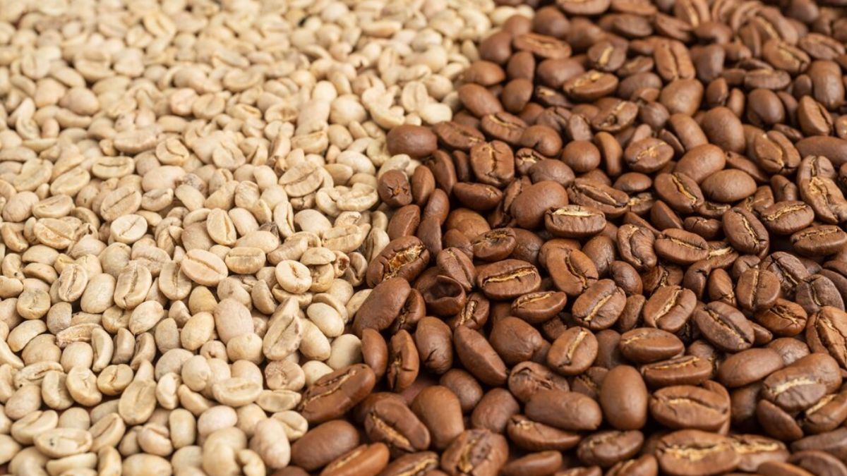 National Coffee Day 2023 Top 5 Health Benefits Of Green Coffee Beans