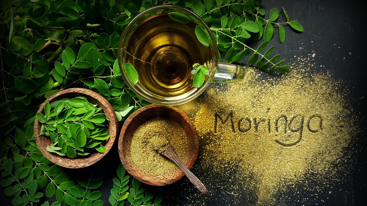 Benefits of Drinking Moringa Tea Before Bed: Side Effects