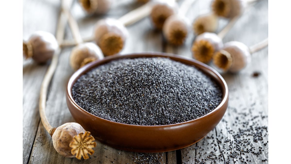 Health Benefits Of Poppy Seeds 5 Amazing Benefits Of Khus Khus For