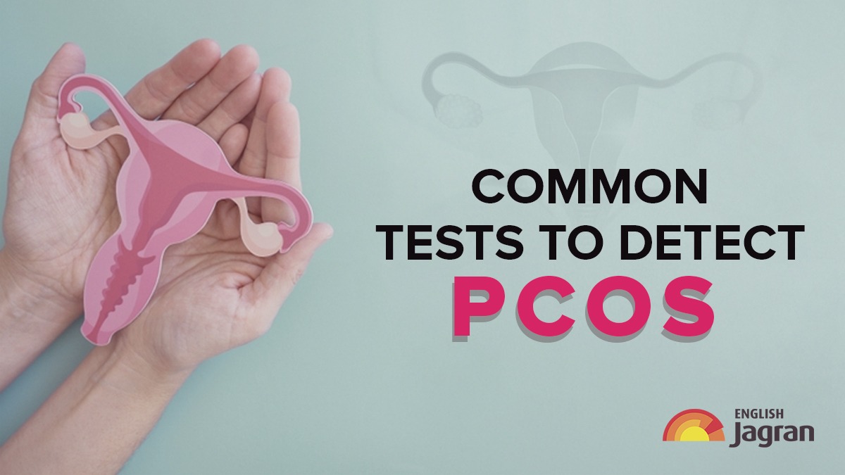 PCOS Awareness Month 2023 5 Common Blood Tests To Detect Polycystic Ovary Syndrome