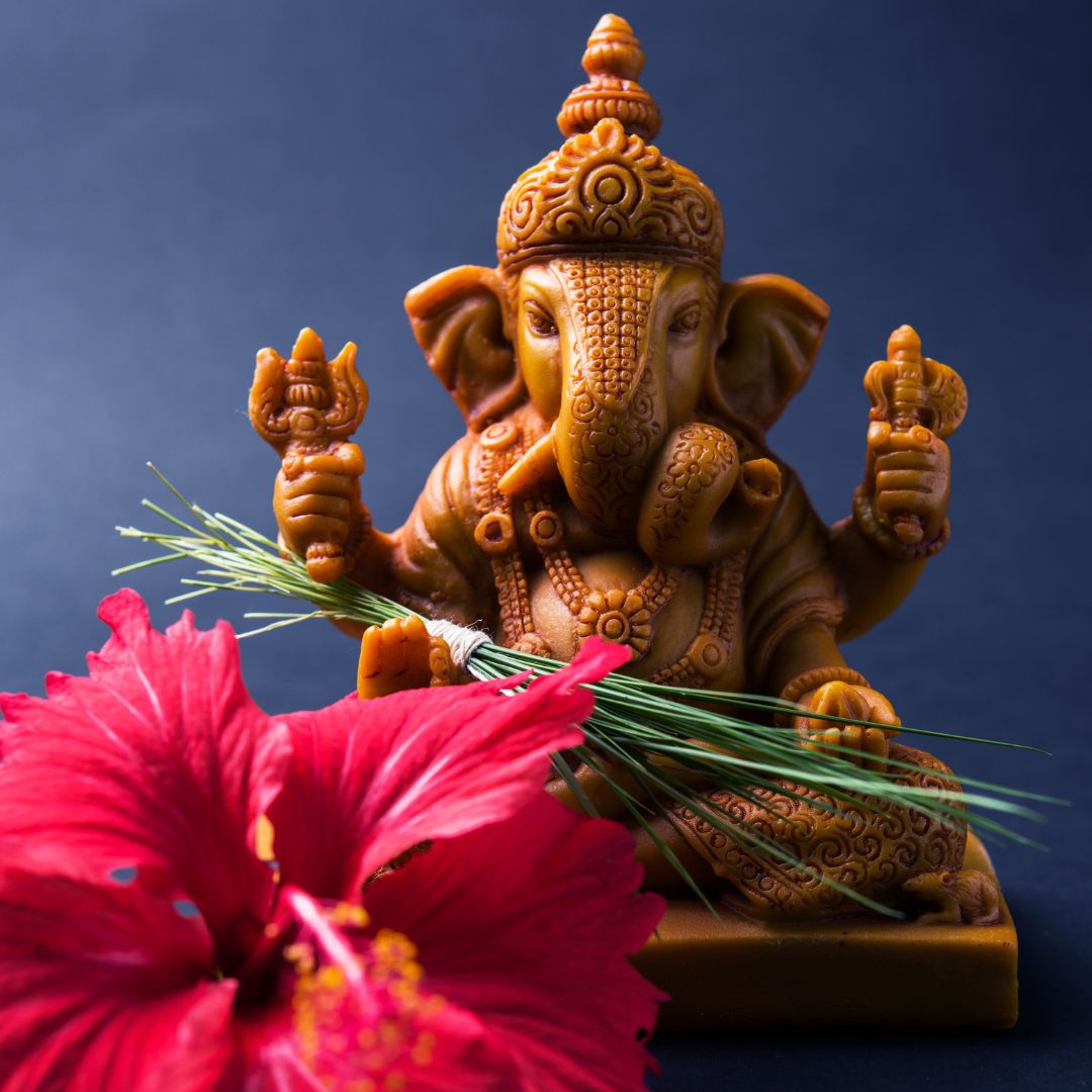 Ganesh Utsav 2023 Benefits Of Offering Durva Grass To Lord Ganesha To
