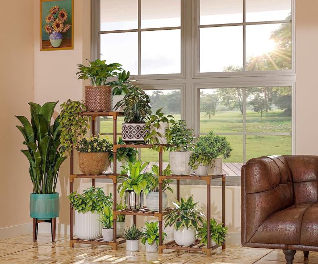 Best Plant Stands To Decorate Your Greens And Home