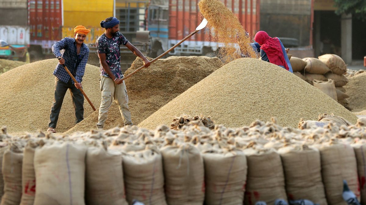 paddy-procurement-in-up-things-farmers-should-know-to-get-benefit-of-msp