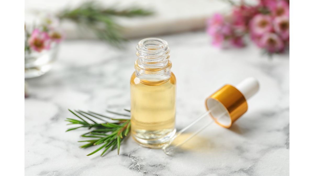 5 Effective Home Remedies To Get Rid Of Ants In Kitchen