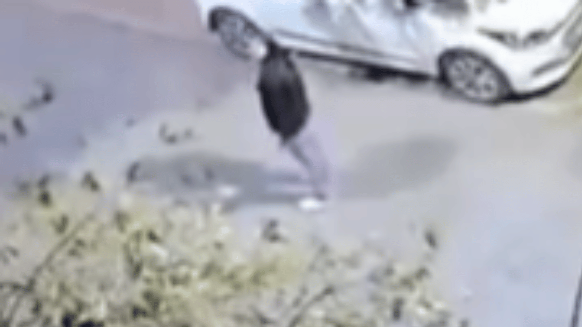 kon-ladega-is-shehar-mein-mujhse-girl-open-challenge-on-empty-street-at-dead-of-night-goes-viral