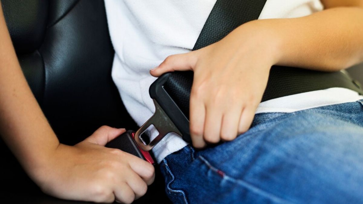 Seat belt alarm to be made mandatory in cars - The Statesman