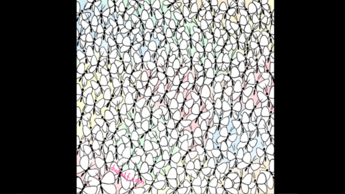 Spot the ant in under 10 seconds. (Source: DUDOLFSOLUTIONS)