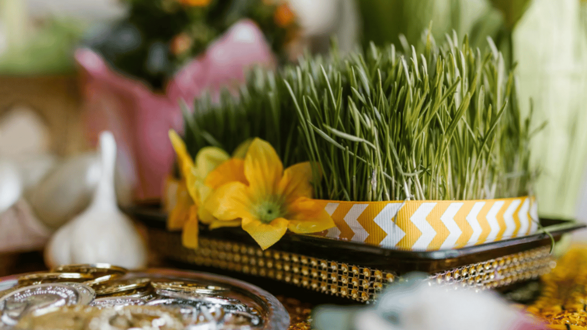 Google Celebrates Persian New Year With Adorable Doodle On Nowruz 2024. (Source: Pexels))