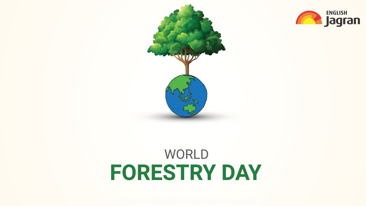 World Forestry Day 2024 Wishes, Messages, Quotes, WhatsApp And