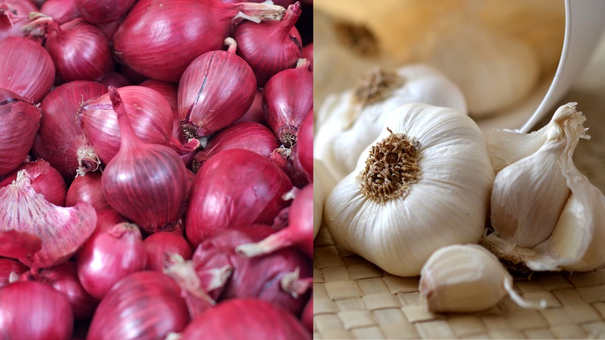 Why Brahmins And Vaishnavas Do Not Consume Onion And Garlic? Shastras