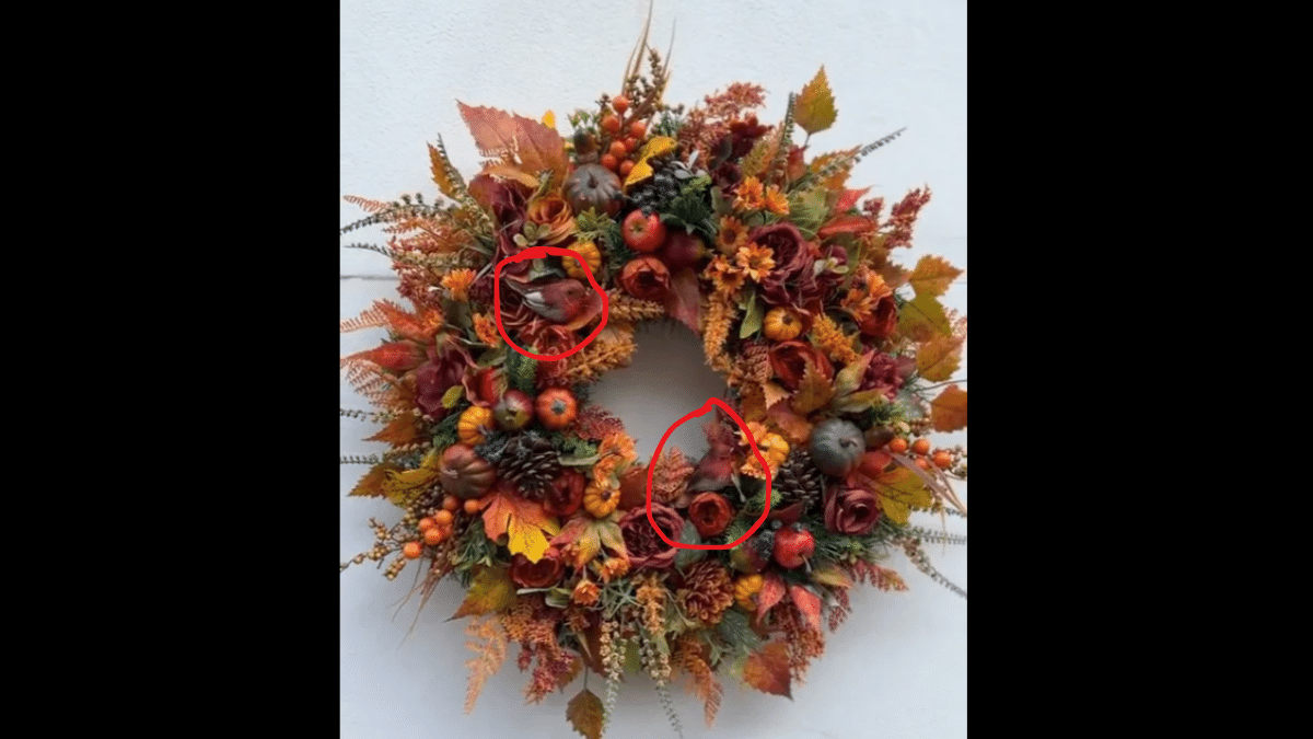 Spot the birds in 15 seconds. (Source: TIKTOK/ARTIFICIALHANNAH)