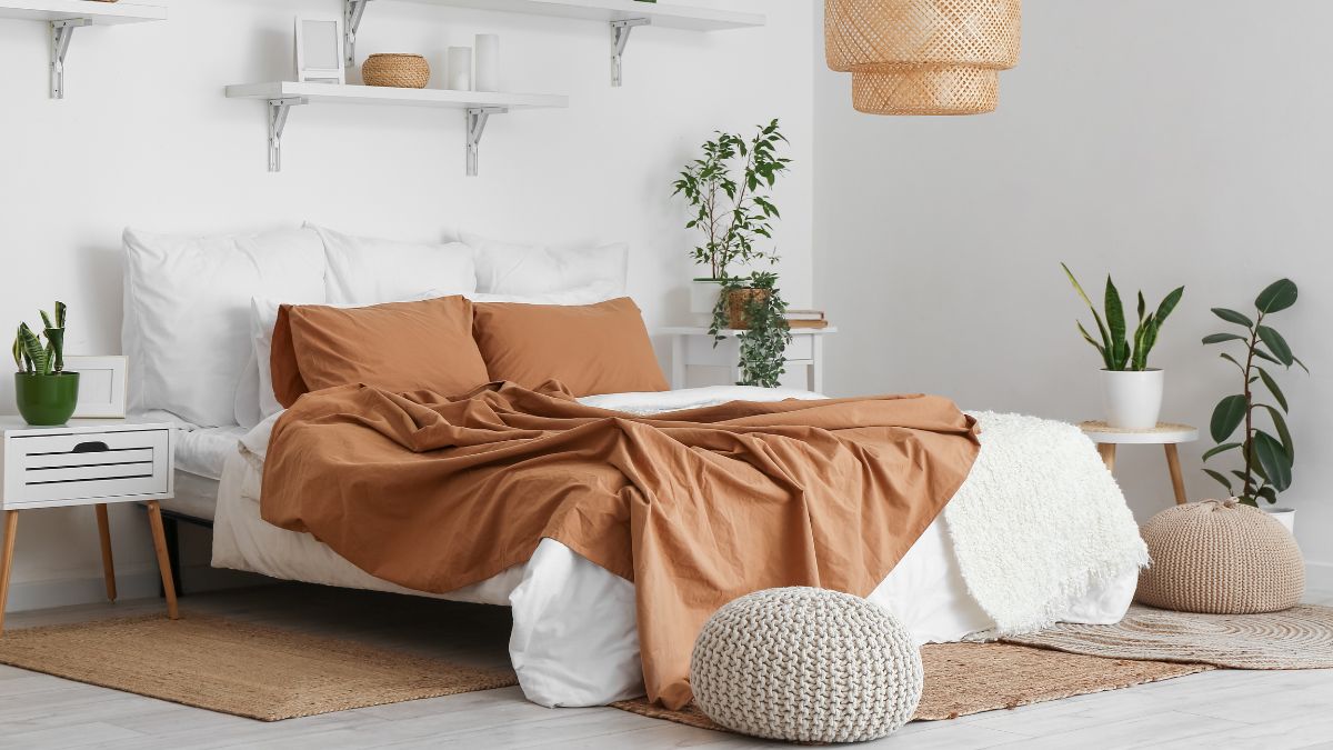 5-small-and-best-bedroom-plants-to-liven-up-your-space